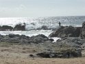 2017-09-30 12-09-53 Circuit Batz sur mer et Le Croisic FGn
